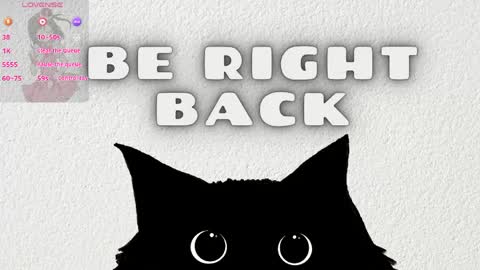 Anaya online show from April 12, 11:47 am