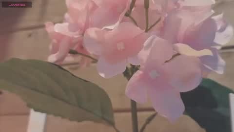 vickyvalencia2 online show from July 19, 12:24 am