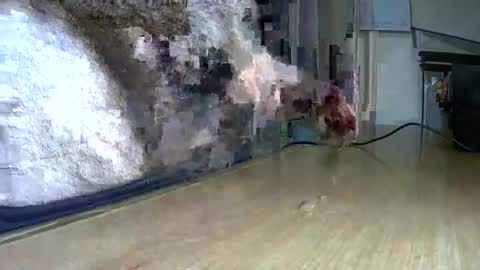 VictorHume online show from November 22, 7:01 pm