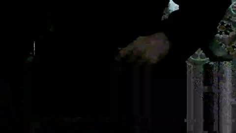 vincili online show from January 18, 1:20 pm