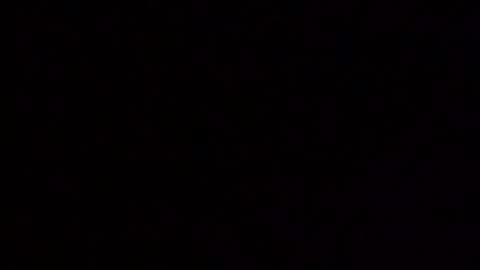 waffywaff77 online show from December 4, 1:11 pm