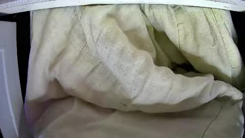 Kentaro online show from April 25, 4:47 am