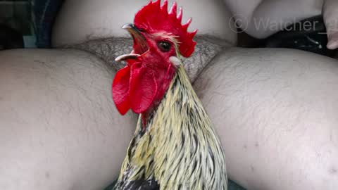 classified online show from December 8, 8:15 pm