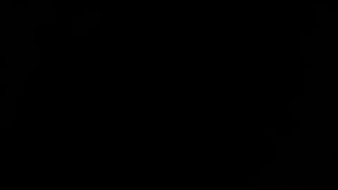 weedmans online show from July 8, 5:22 am