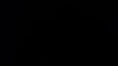 wellingtont online show from October 24, 11:55 am