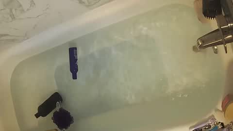 whipsnap19 online show from September 21, 4:16 am