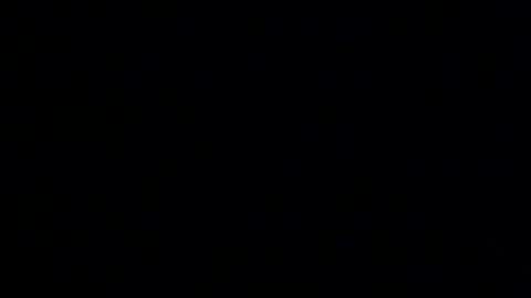 whitehead_lion online show from January 14, 6:05 pm