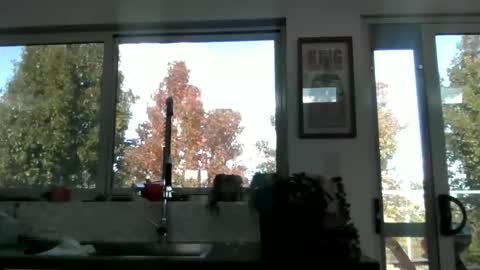 whitepantyman1973 online show from April 29, 3:11 am