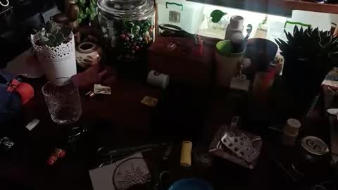 WickedKnots online show from March 26, 8:19 am