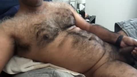 wildhungry online show from June 1, 4:52 pm