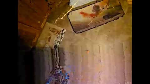 wildman2900 online show from December 8, 3:24 pm