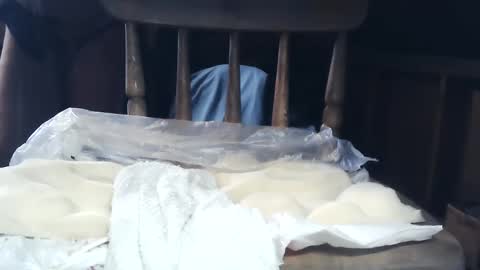 wildman6 online show from January 26, 8:34 pm