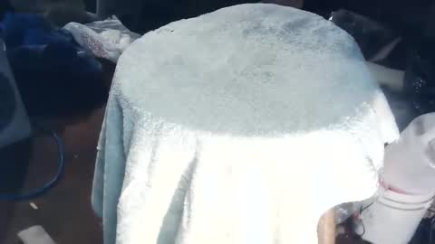 wildman6 online show from October 24, 8:09 pm