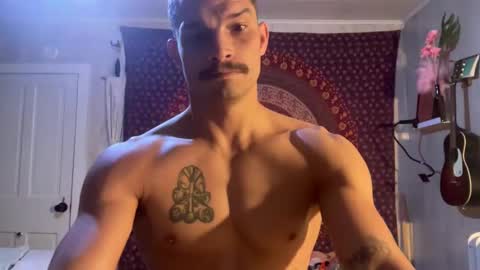 Wolfblazer online show from February 10, 10:53 am