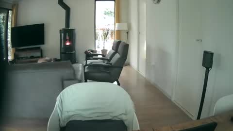 woodwurm and Snoeske online show from October 13, 1:46 pm