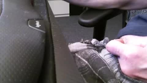 wrangleat0r online show from March 8, 5:33 am