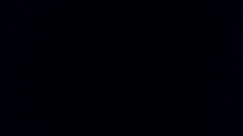 Paul online show from February 11, 10:28 pm