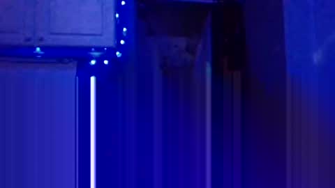 BONER DONOR online show from January 5, 7:28 pm