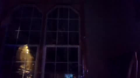 BONER DONOR online show from December 19, 8:24 am