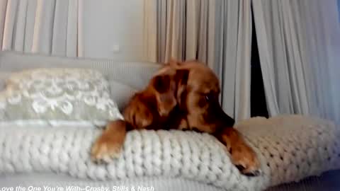 Lily online show from February 21, 12:27 am