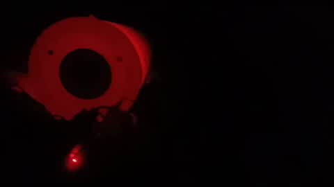 xbb3699 online show from April 12, 4:55 pm