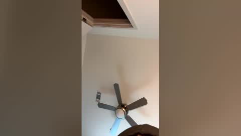 xbigdick_214 online show from March 28, 10:55 pm