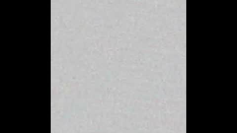 JSSD online show from February 24, 8:50 am