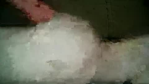 Wendy online show from March 5, 9:59 pm