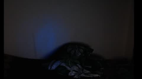 merayel online show from March 16, 5:21 am