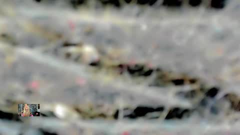 Femboy Exotic online show from February 16, 4:53 am