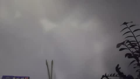 yakijoe online show from December 2, 11:03 pm