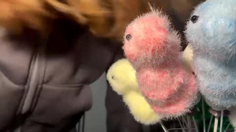 Kate online show from April 18, 12:29 pm