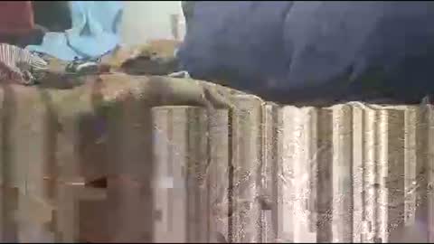 yangolox3 online show from March 9, 11:53 pm