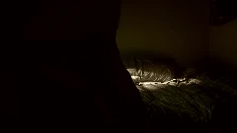 yaradeeyarama online show from February 8, 3:48 pm