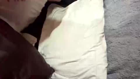 yelawolfak907 online show from December 2, 12:31 am