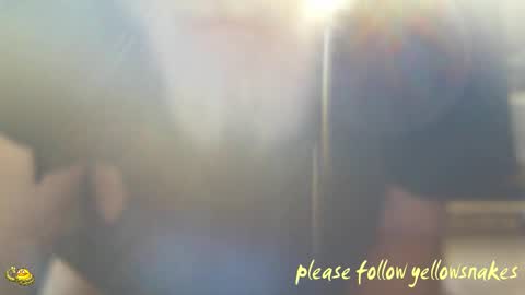 .     y e l l o w s n a k e s       . online show from February 10, 10:13 pm