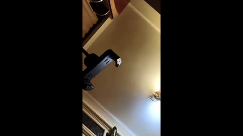 AlexMard online show from January 13, 7:10 pm