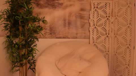 Snapshot of yourmidnightcoffee chatting on January 28, 11:28 pm Sarah online show from January 28, 11:28 pm