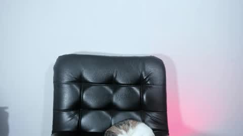 Yue Eclipsa online show from December 16, 5:14 am