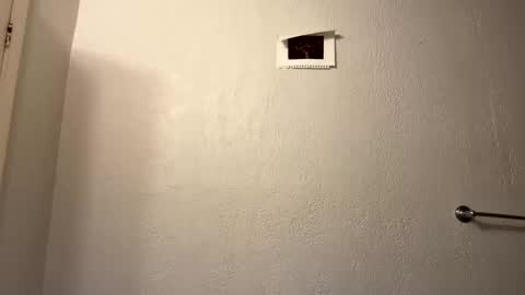 yungstudbev online show from March 27, 2:18 pm