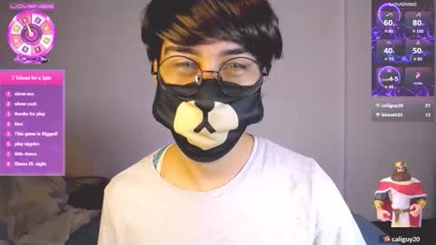 the puppy boy online show from April 9, 3:43 am