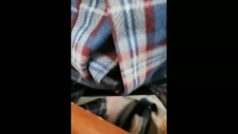 yuppers1234 online show from February 5, 6:37 pm