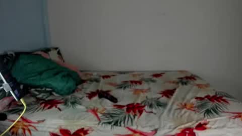 Zamu online show from January 21, 11:02 pm