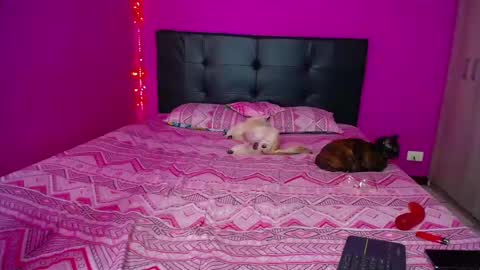 ZARA ANYELINA online show from December 14, 12:33 pm