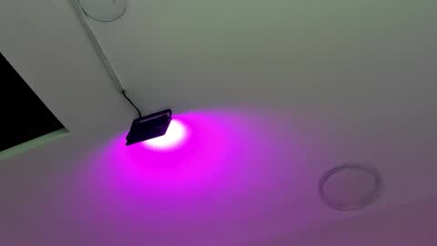 zia online show from October 6, 12:01 pm