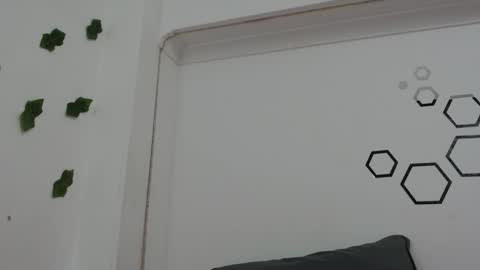 Carolina online show from November 23, 8:18 pm