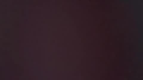 zoozdxb online show from January 16, 7:17 am